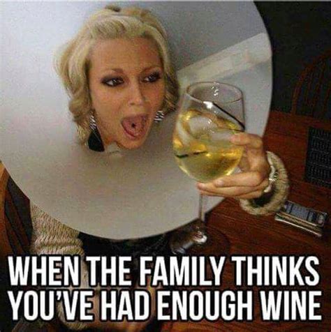 Too much wine? | Wine jokes, Wine meme, Drinking humor