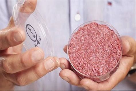 Survey: 30% of consumers would eat cultured meat