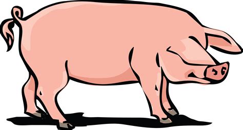 Meat Pig Clipart at Kristy Smith blog