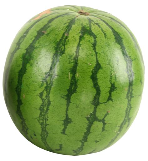 Watermelon PNG Image | Watermelon, Watermelon png, Melon png