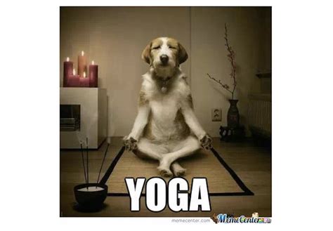 9 International Yoga Day Memes That Sum Up Yoga Class Perfectly