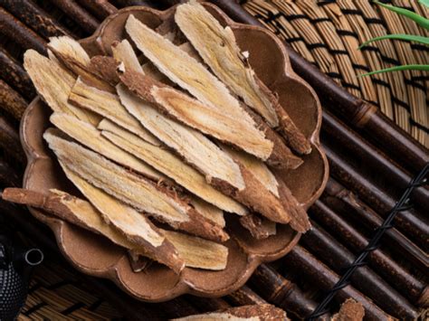 Astragalus – Boosting a Lowered Immunity – Dragon's Miracle