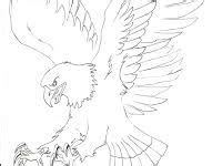 91 Eagles ideas | eagle drawing, eagles, eagle art