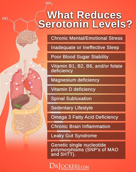 Do You Have Low Serotonin Levels? - DrJockers.com