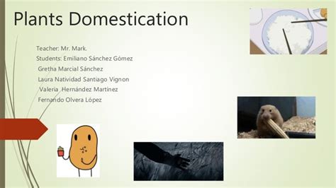 Plant domestication 18 05-16 geo