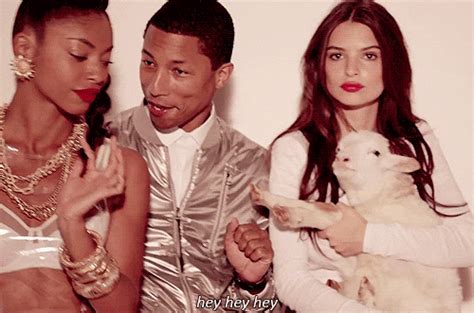 Blurred Lines Parody GIFs - Find & Share on GIPHY