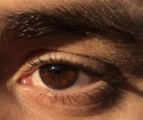 the most beautiful eyes i’ve seen | Brown eyes aesthetic, Brown eyes ...
