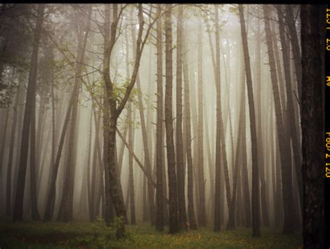 Upslope Fog in May by Mariam Sitchinava | Printed Editions