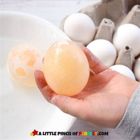 Bouncy Egg Experiment Easy Science Directions, Worksheets + Video - A ...