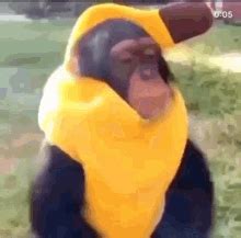 Monkey Banana GIF - Monkey Banana Bathtime - Discover & Share GIFs