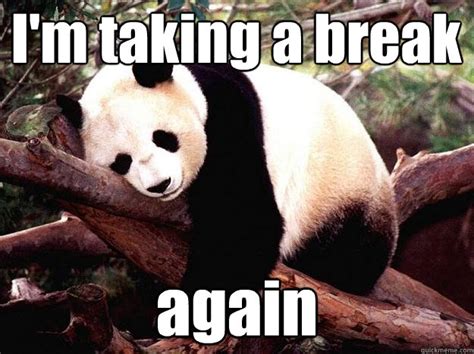 I'm taking a break again - Procrastination Panda - quickmeme