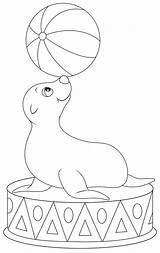 Free SEAL Coloring Pages For Download Printable PDF sketch template