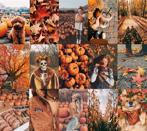 DIGITAL Prints Autumn Fall Vibes Spooky Season Orange Set - Etsy Canada