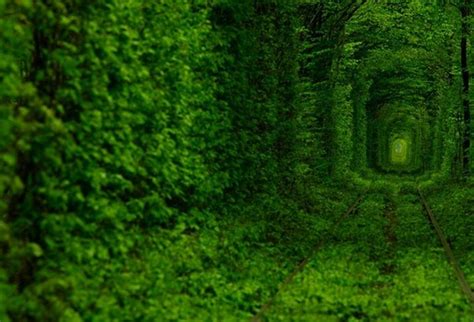 The Tunnel Of Love | Beautiful Place For Couple In Ukraine | World For Travel