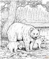 Hard Coloring Pages Of Animals  Home sketch template