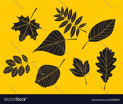 Autumn leaf Royalty Free Vector Image - VectorStock