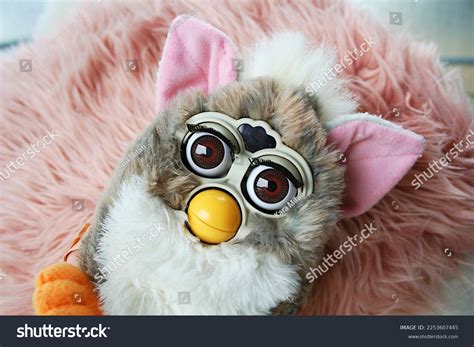 79 Furbie Images, Stock Photos & Vectors | Shutterstock