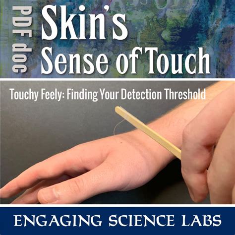Nerves Study: Sense of Touch, Finding Your Detection Threshold | new ...