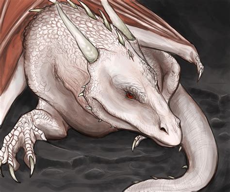 Albino dragon by FlobbyBobby on DeviantArt