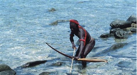 Negrito community Jarawa tribe of Andaman History, Features, Origin