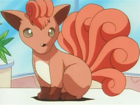 Brock's Vulpix - Bulbapedia, the community-driven Pokémon encyclopedia | Dog pokemon, Pokemon ...