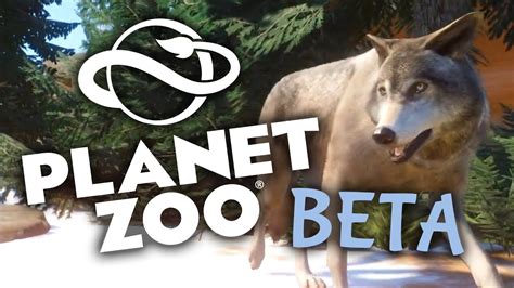 Timber Wolves Habitat Speedbuild | Planet Zoo Beta - YouTube