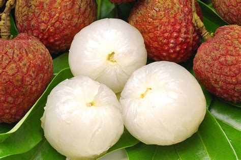 open litchi fruit pictures | http://www.atozpictures.com/litchi-fruit-pictures | Fruit picture ...