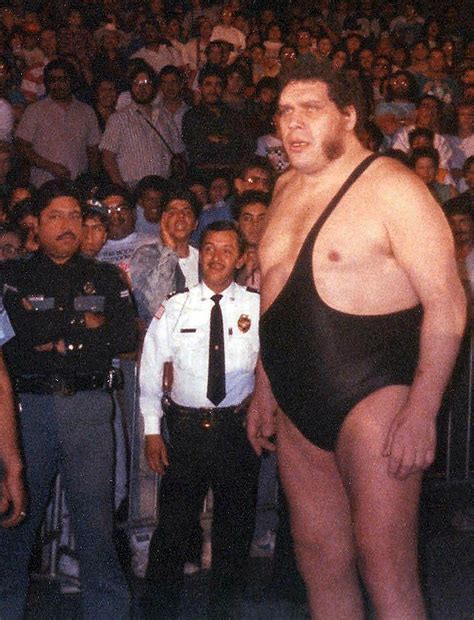 7 Things We Learned From The 'Andre The Giant' Documentary