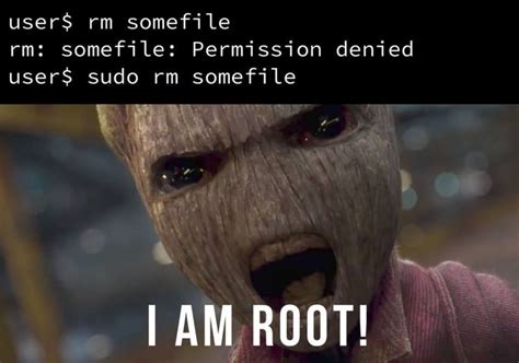 terminal - I AM ROOT!!! - devRant