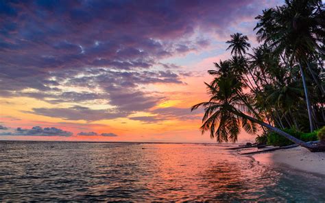 Tropical Beach Sunset 4k Wallpaperhd Nature Wallpapers4k Wallpapers | Images and Photos finder
