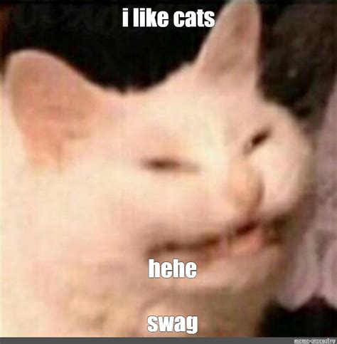 Meme: "i like cats hehe swag" - All Templates - Meme-arsenal.com