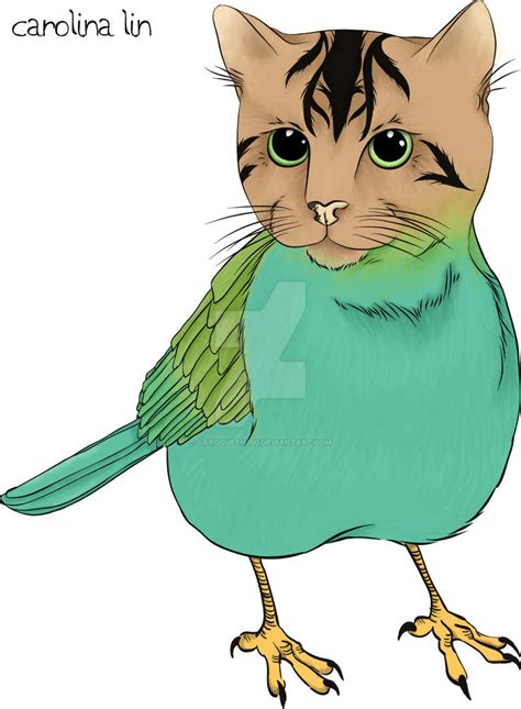 Cat Bird Hybrid - coloured by CaroQueen200 on DeviantArt