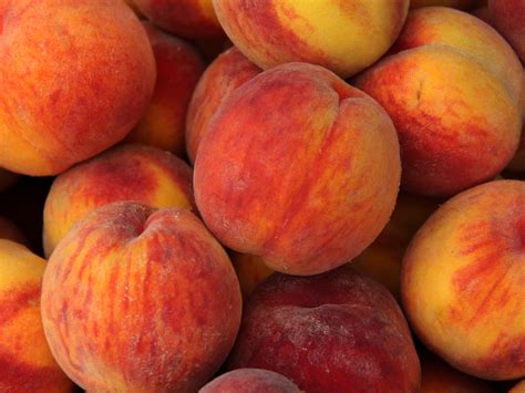 Bobtail Fruits & More | Facts About Peaches | Interesting | Summer ...