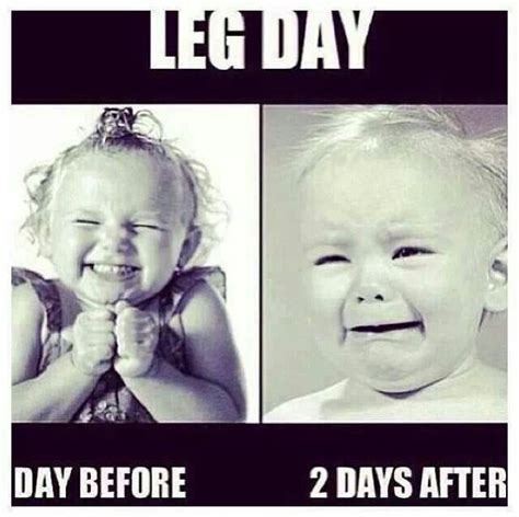 Leg day | Gym humor, Workout humor, Fun workouts