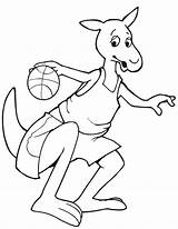 boxing kangaroo coloring Pages  Раскраски с животными Кенгуру sketch template