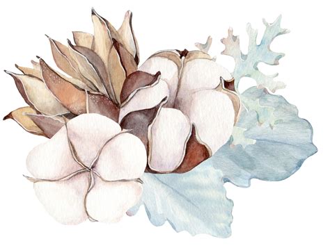 H895 (4) | Floral watercolor, Plant illustration, Realistic flower drawing | Realistic flower ...
