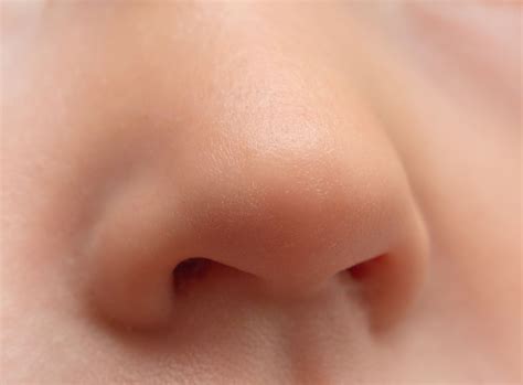 Nose: Facts, Function & Diseases | Live Science