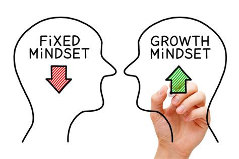 Fixed Mindset VS Growth Mindset: How Your Perspective Shapes Your Business' Success - SAMA Labs