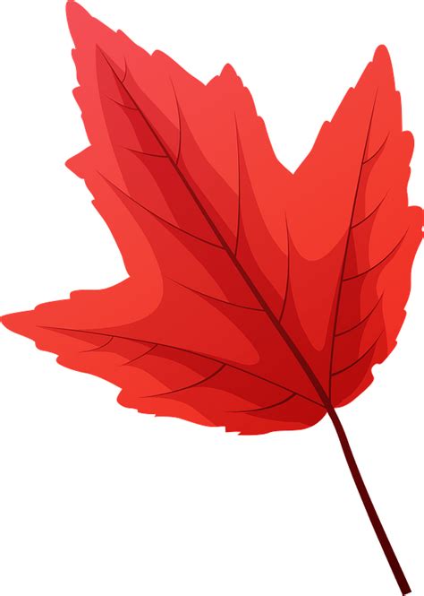 Clipart Images Of Fall Leaves