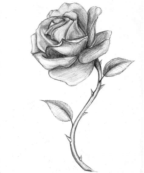 Black And White Drawings Of Roses Black And Red Roses Drawings Bouquet Idea | Art | Pinterest ...
