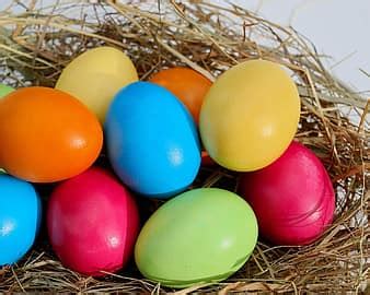 easter egg, easter nest, easter, egg, decoration, easter decoration, happy easter, yellow, cute ...
