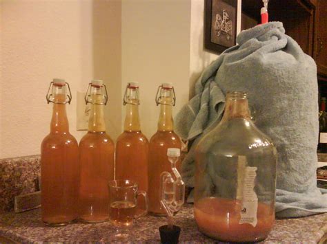 My year old cider | I started a gallon batch of cider last f… | Flickr