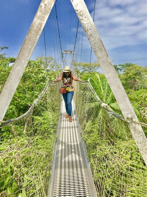 Lekki Conservation Centre: Experience the Longest Canopy Walkway in ...