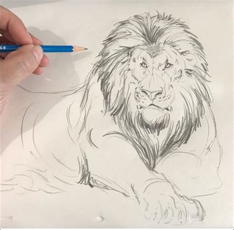 The Lion King 2019 Concept Art | 🦁The Lion King Amino🦁 Amino