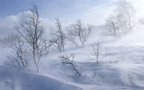 Snow Blizzard Wallpaper - WallpaperSafari