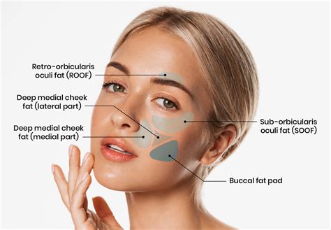 Buccal Fat Removal - Beaty Facial Plastic Surgery