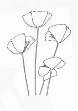 Poppy Colouring Page sketch template