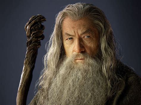 Image - Gandalf-2.jpg - Lord of the Rings Wiki