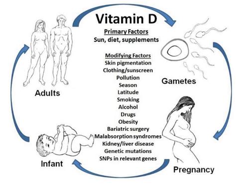 Vitamin D, 1, 25-Hydroxy | Second Opinion Physician