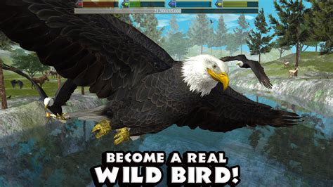 Ultimate Bird Simulator - Android Apps on Google Play